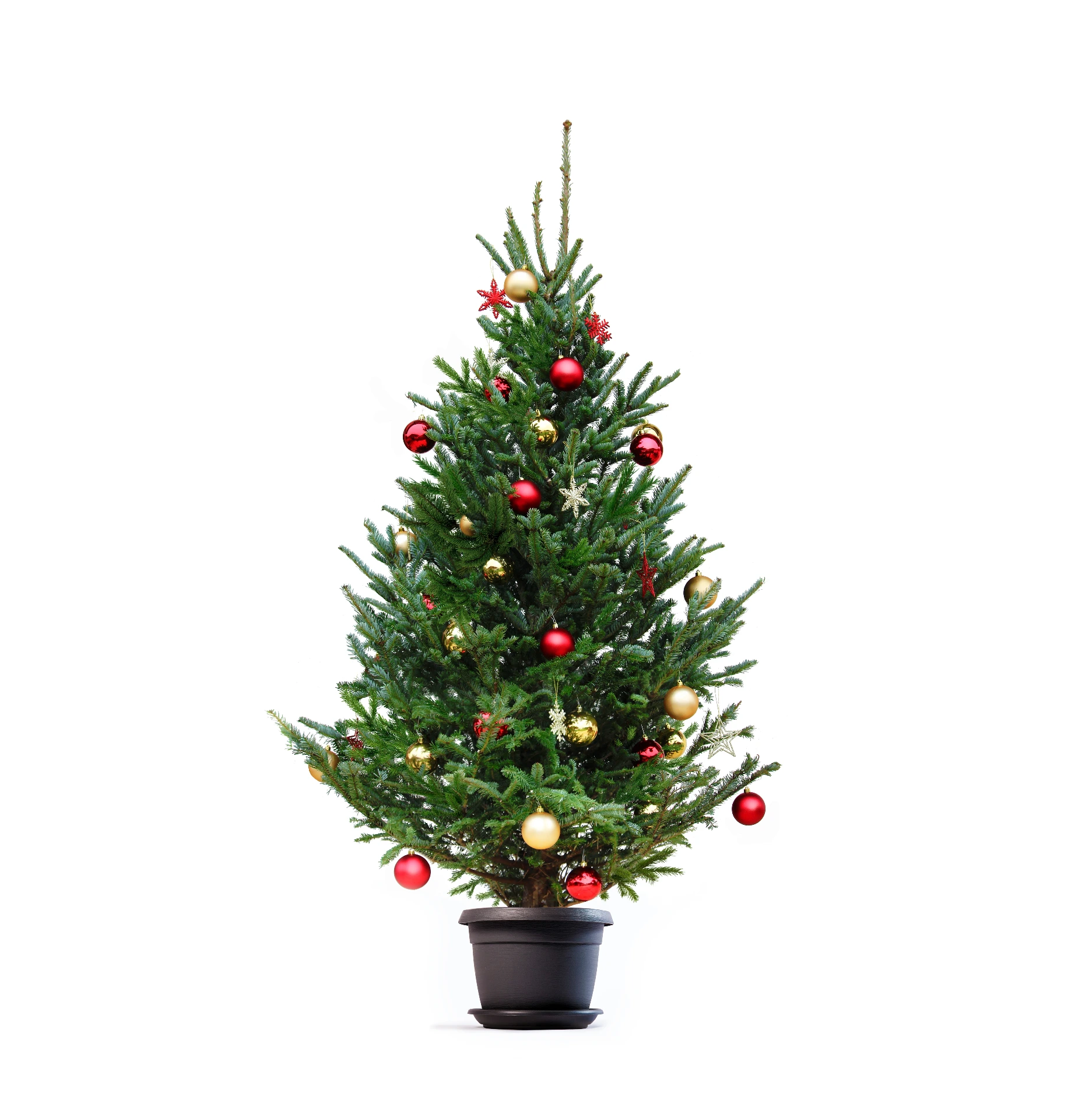 Decoration kit