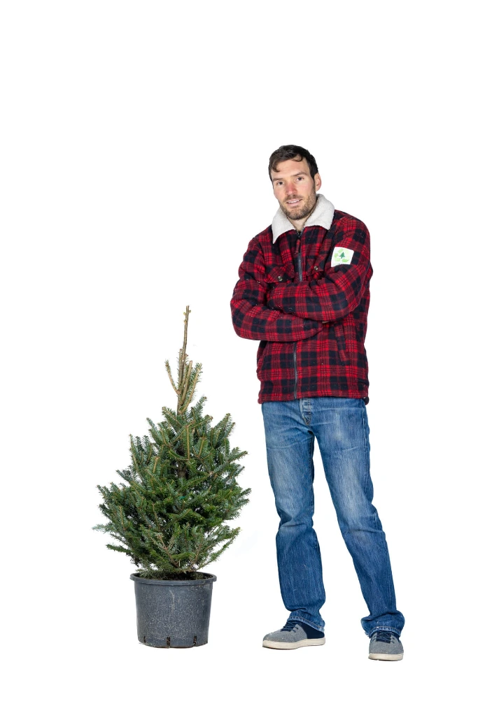 Ecosapin im Topf 90-110 cm (1. Wahl)