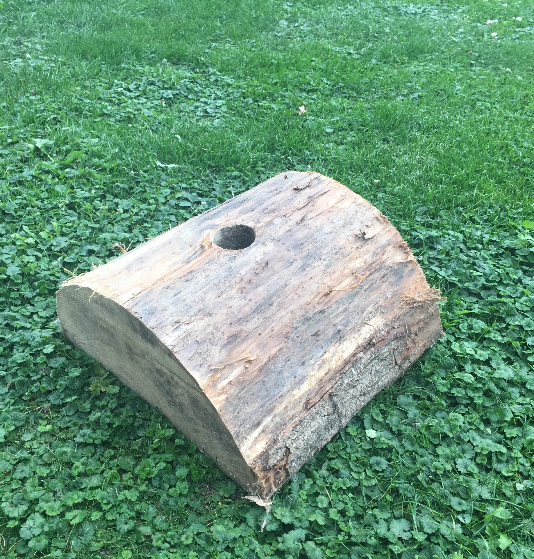 Pied EasyFix / Demi bûche M